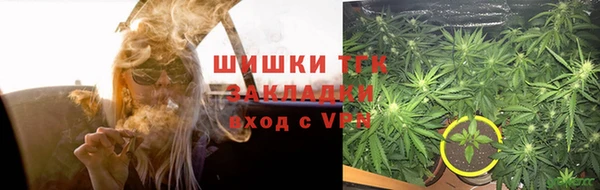 мет Дмитриев