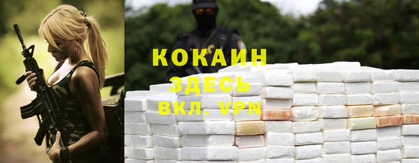 мет Дмитриев