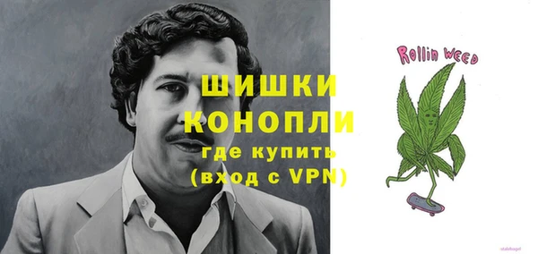 мет Дмитриев
