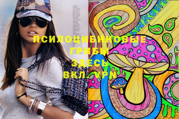 гашиш Дмитров