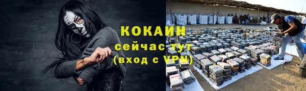 мет Дмитриев
