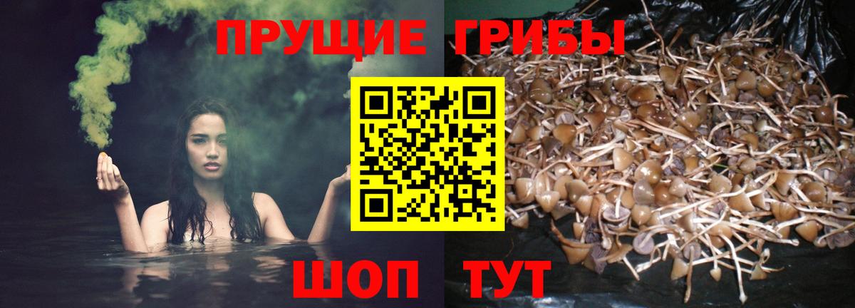 Псилоцибиновые грибы Psilocybine cubensis  Галлюциногенные грибы Psilocybine cubensis  как найти закладки  Темрюк  Вход с VPN 