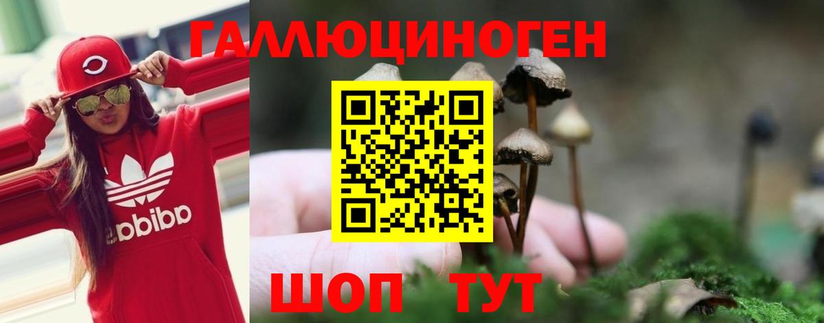 Псилоцибиновые грибы мицелий Темрюк